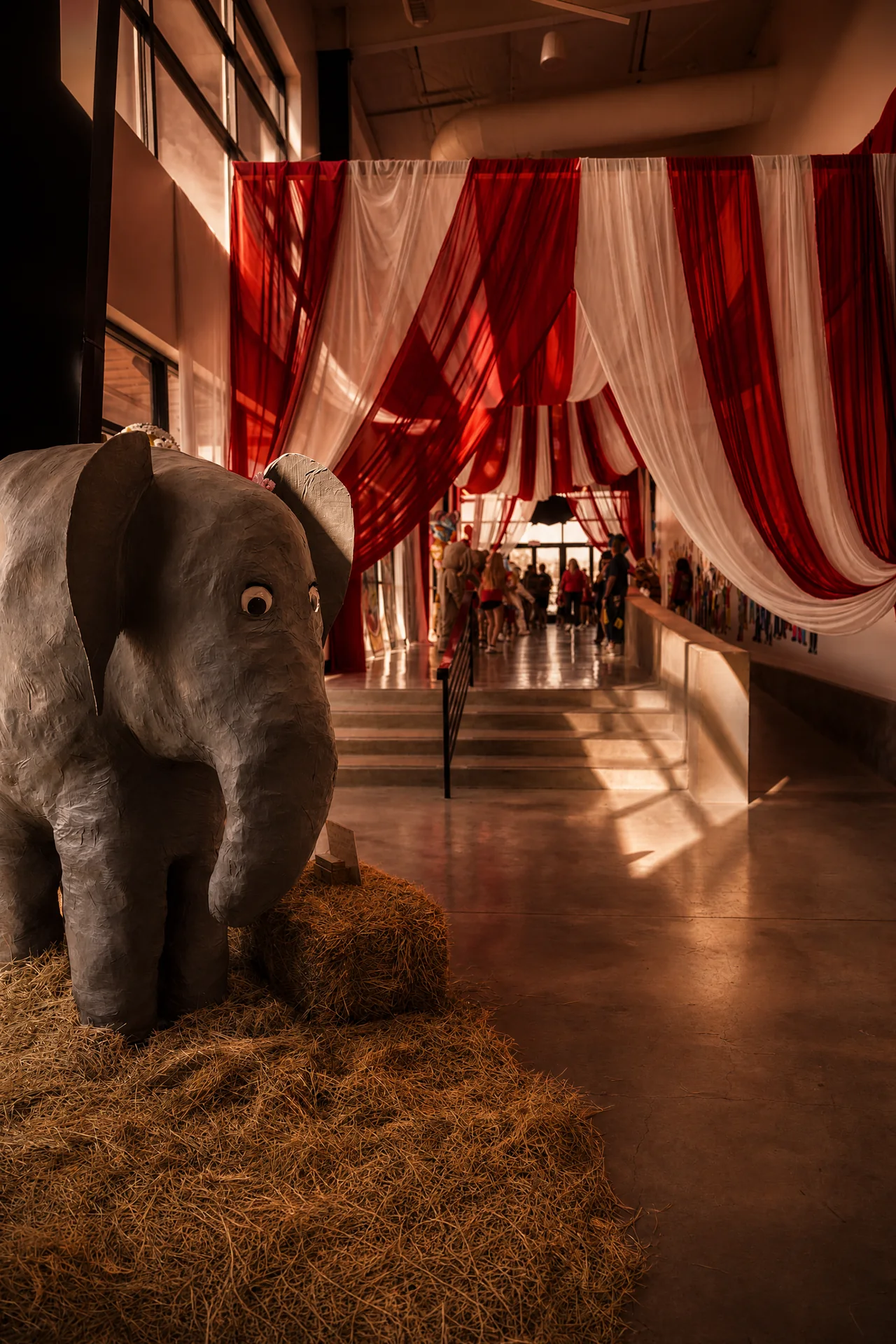 Church of King Carnival Movie Premiere: 14 elephant corridor