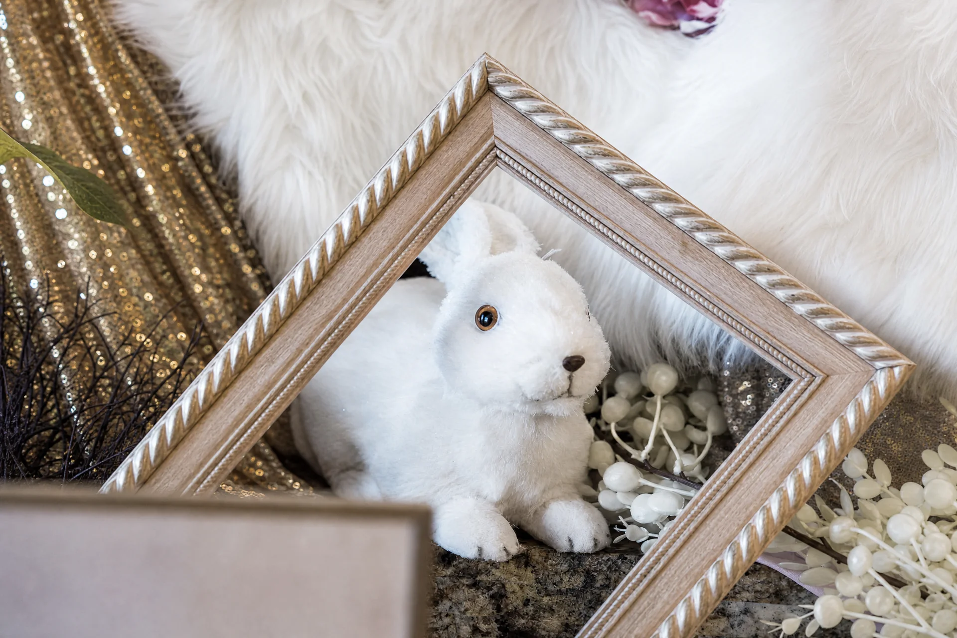 Harlow's Bunny First Birthday: 23 harlow neutral 210