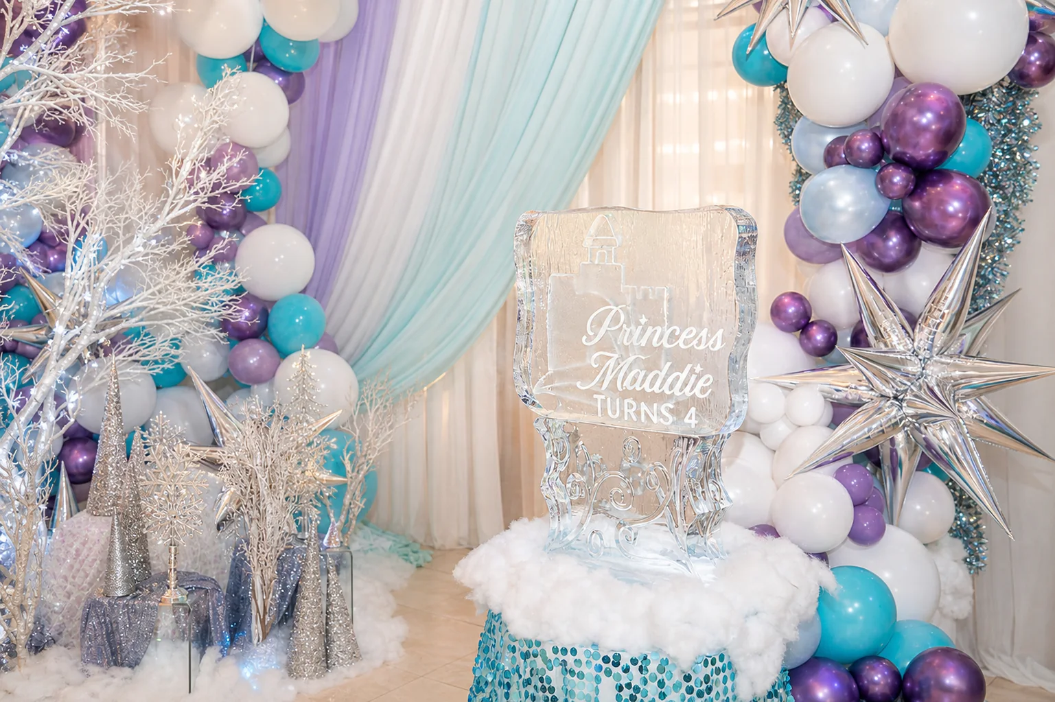 An Ice Princess Birthday: 13 ice princess cont 5529